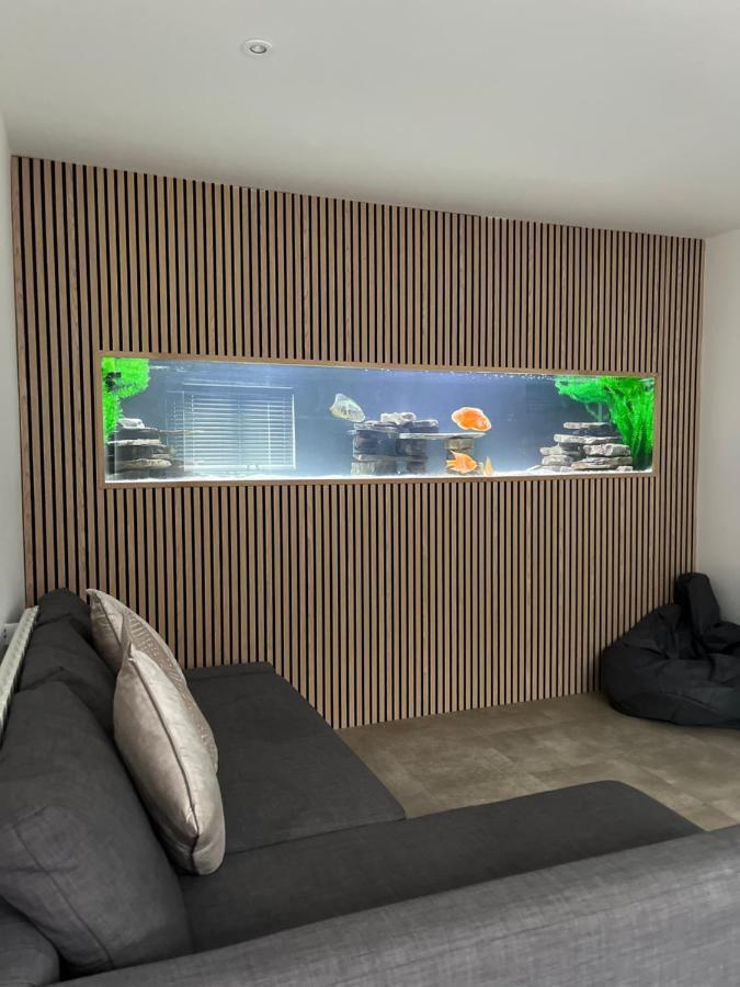 Terfyn Hall Aquarium Apartment 1 برستاتين المظهر الخارجي الصورة