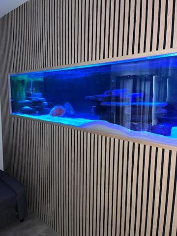 Terfyn Hall Aquarium Apartment 1 برستاتين المظهر الخارجي الصورة